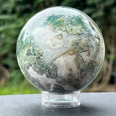 Agat muschi (moss), agat copac