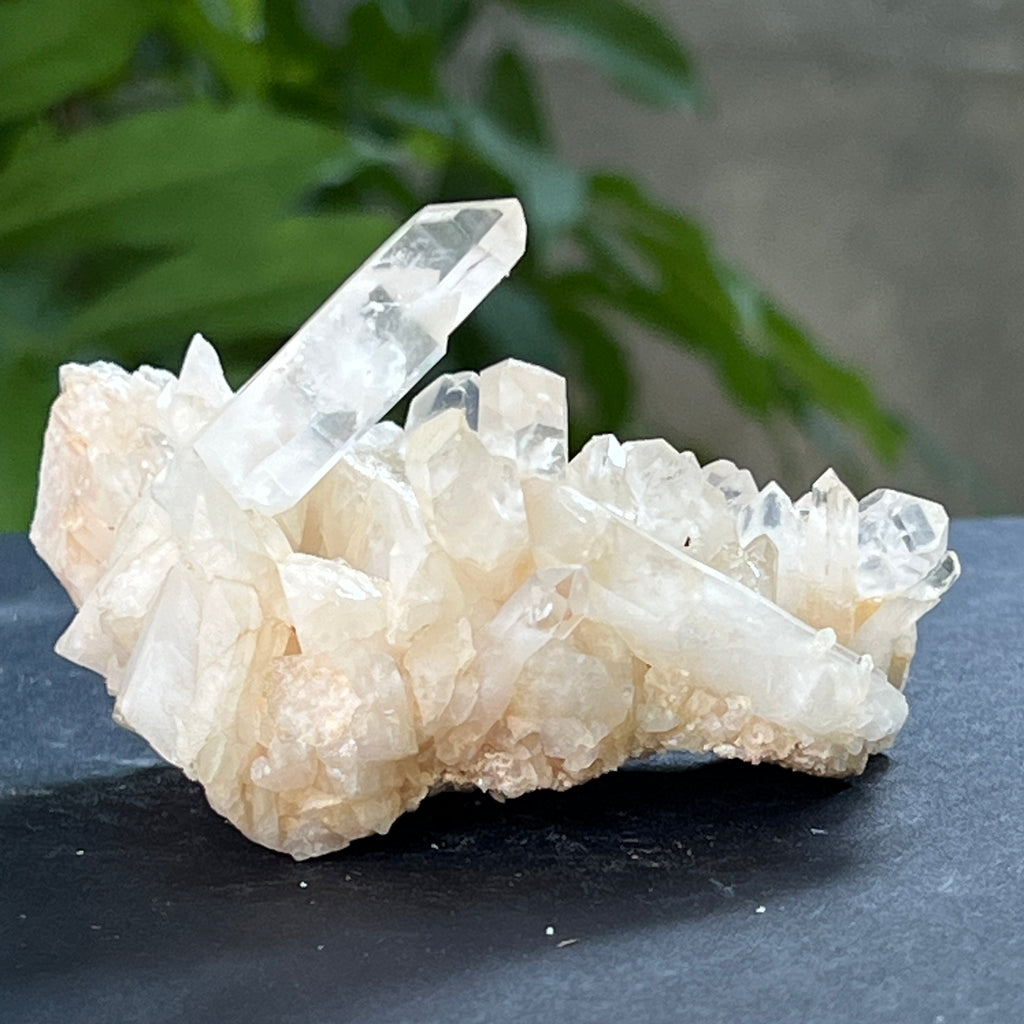 Cluster cuart incolor, floare de mina, cristal de stanca Zimbabwe m11, pietre semipretioase - druzy.ro 1 