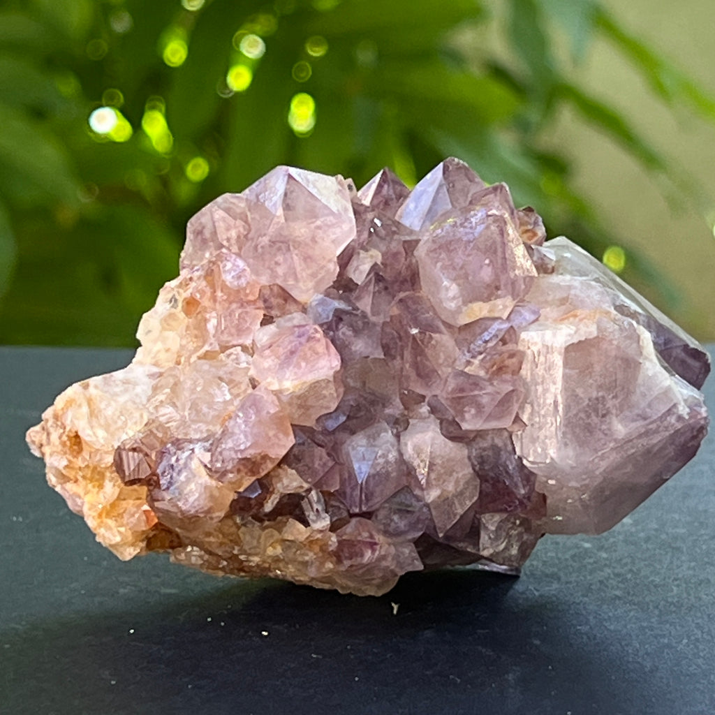Specimen ametist cuart spirit din Africa de Sud | Model 25, pietre semipretioase - druzy.ro 4 