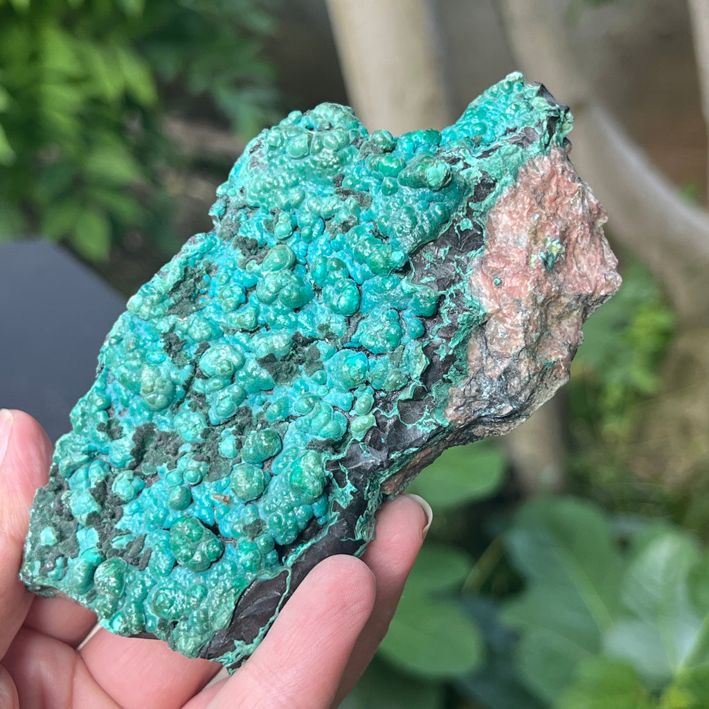 Cluster crisocola botrioidală model 4 din Congo, pietre semipretioase - druzy.ro 3 