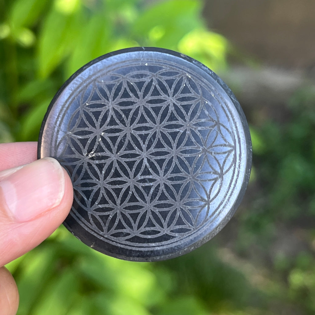 Disc din Shungit adeziv Flower of Life, pietre semipretioase - druzy.ro 1 