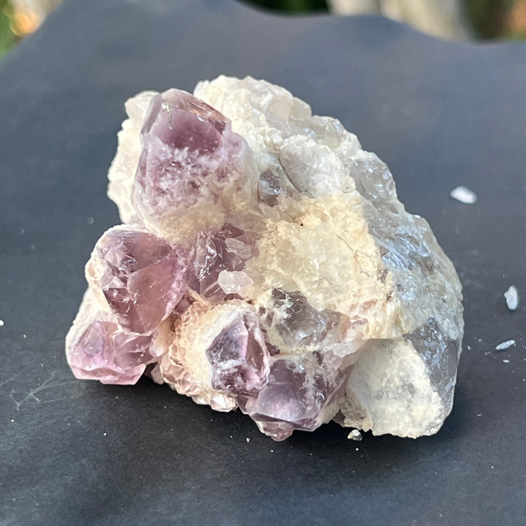 Cluster ametist sweet model 5a/8, din Zambia, pietre semipretioase - druzy.ro 4