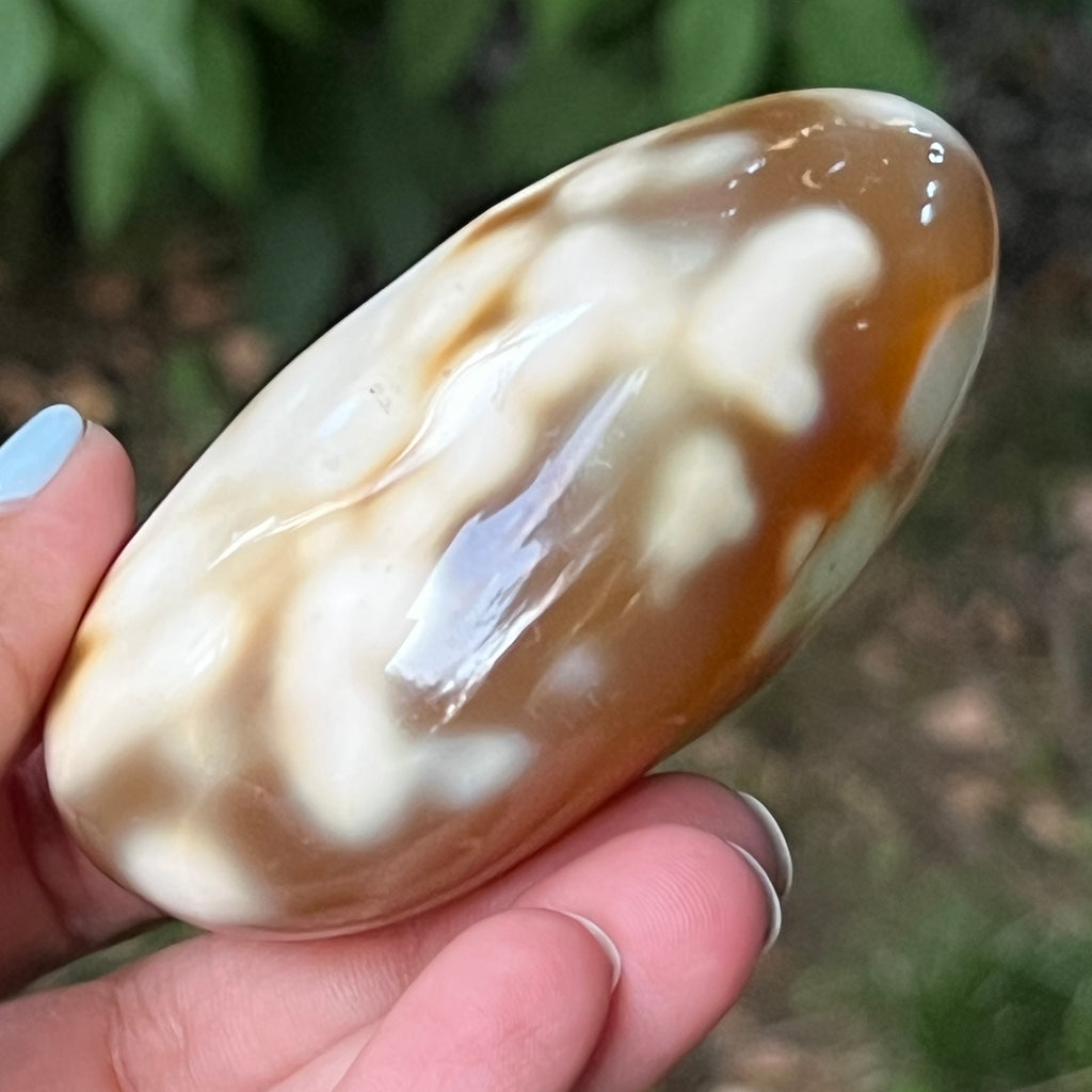 Agat Orca palmstone model 12, pietre semipretioase - druzy.ro 2 