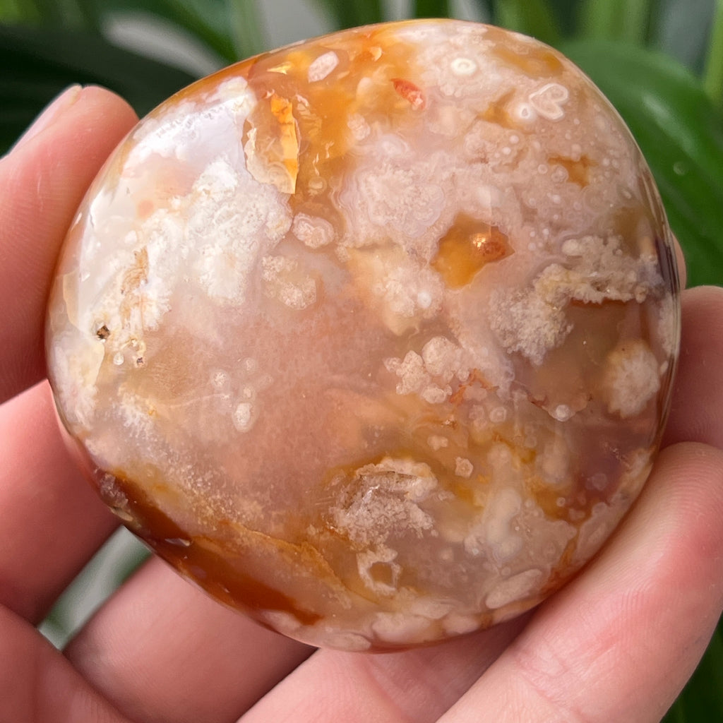 Palmstone agat coral floare rosu m24, pietre semipretioase - druzy.ro 2 