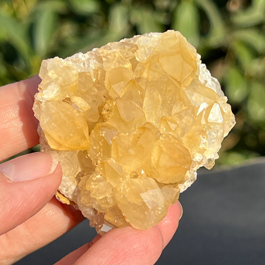 Cluster cuart lamaie Zambia, golden healer model 34, pietre semipretioase - druzy.ro 1 