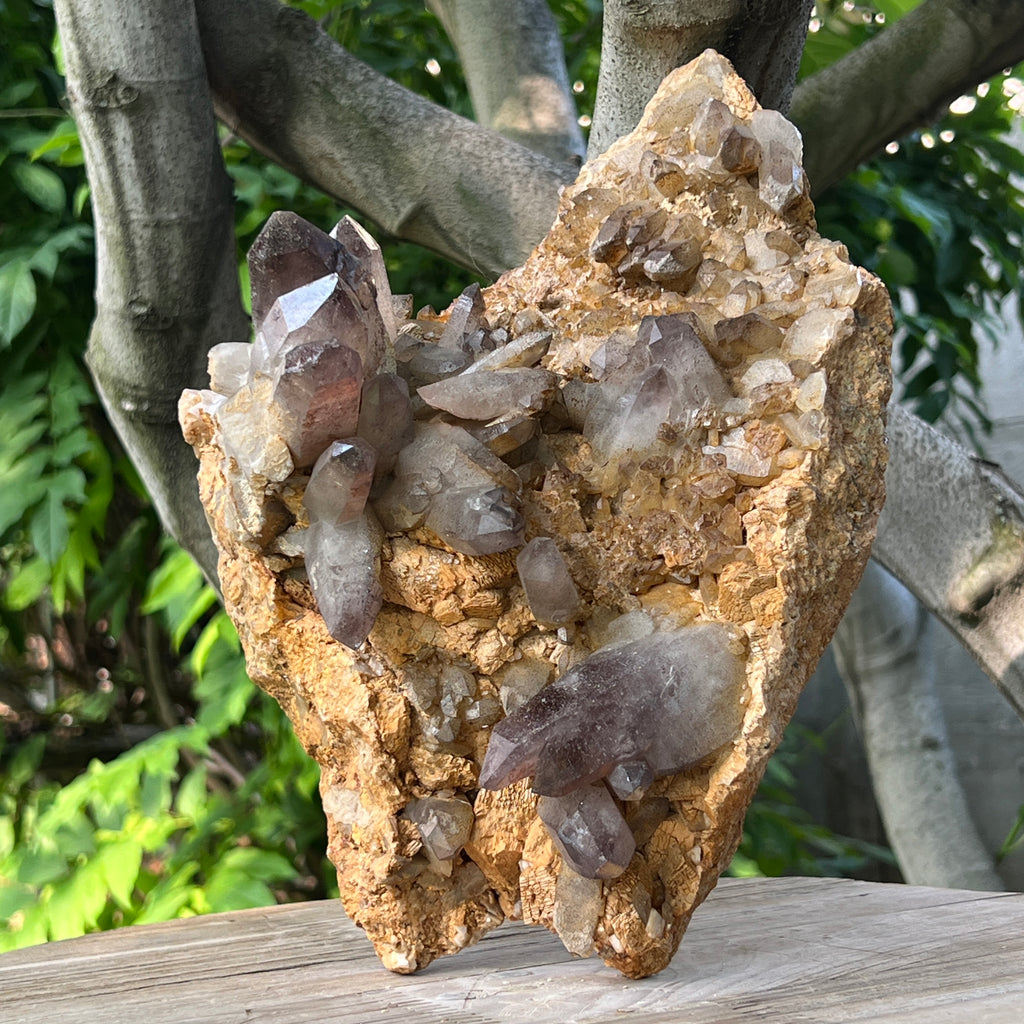 Specimen cluster cuart fumuriu m1, pietre semipretioase - druzy.ro 8 