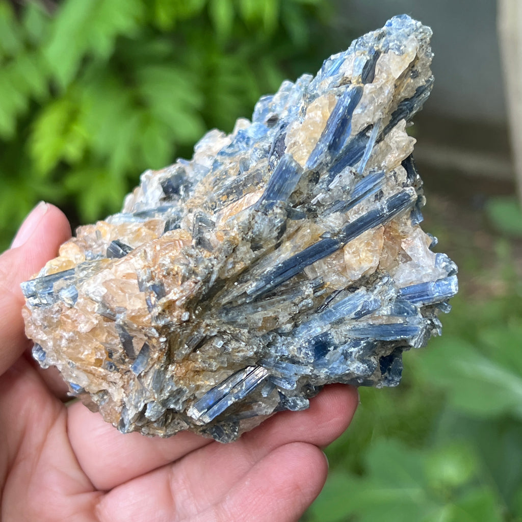 Kianit albastru (Cianit) piatra bruta din Zimbabwe model 15, pietre semipretioase - druzy.ro 2 