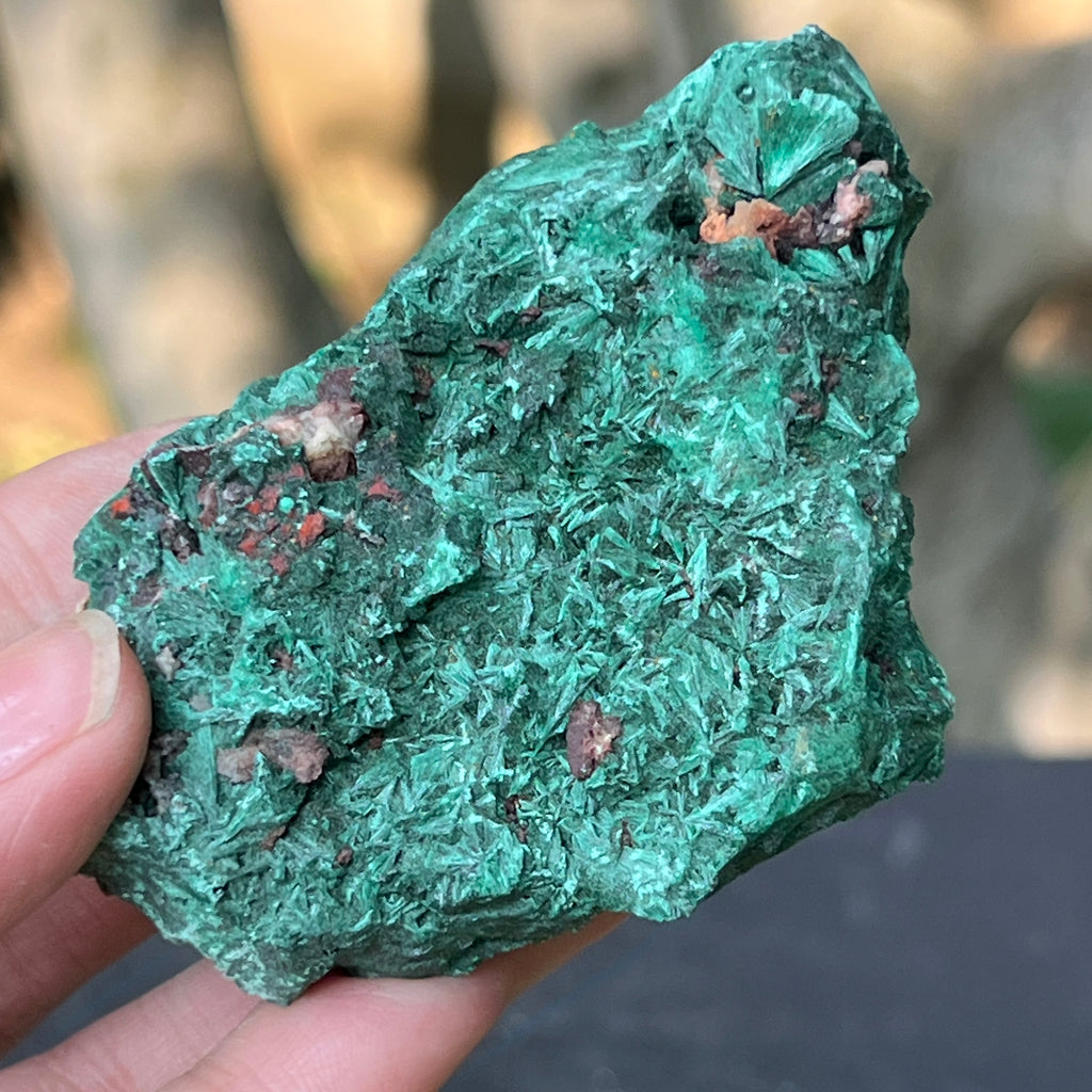 Malachit matasos piatra bruta m19, pietre semipretioase - druzy.ro 9 