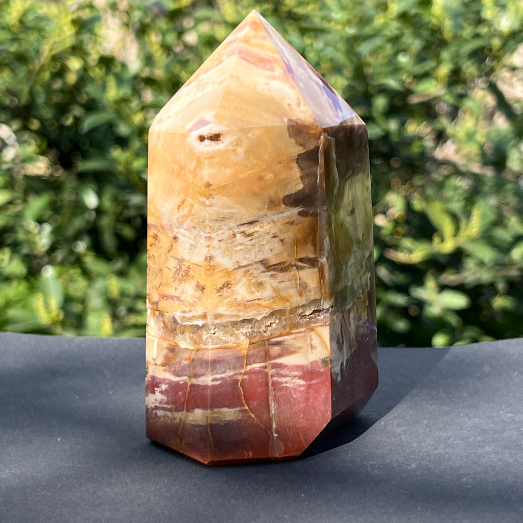 Obelisc lemn pietrificat m1, pietre semipretioase - druzy.ro 6 