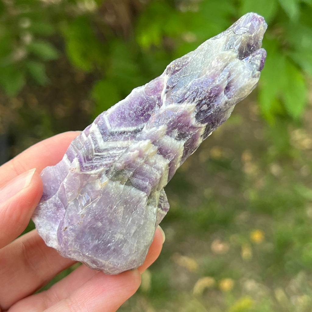 Ametist chevron piatra bruta/ varf m8, pietre semipretioase - druzy.ro 5 