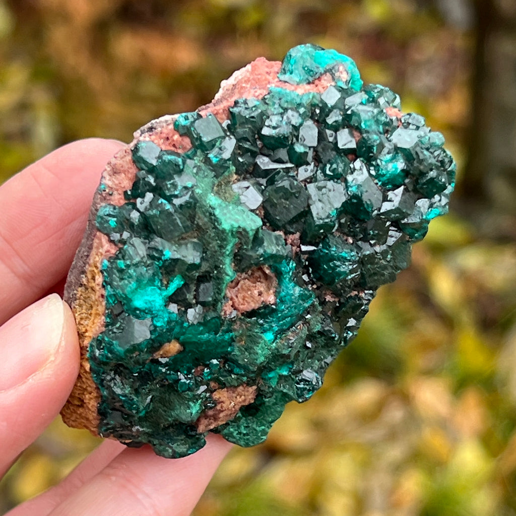 Dioptaz cluster din Congo model 12, pietre semipretioase - druzy.ro 6 