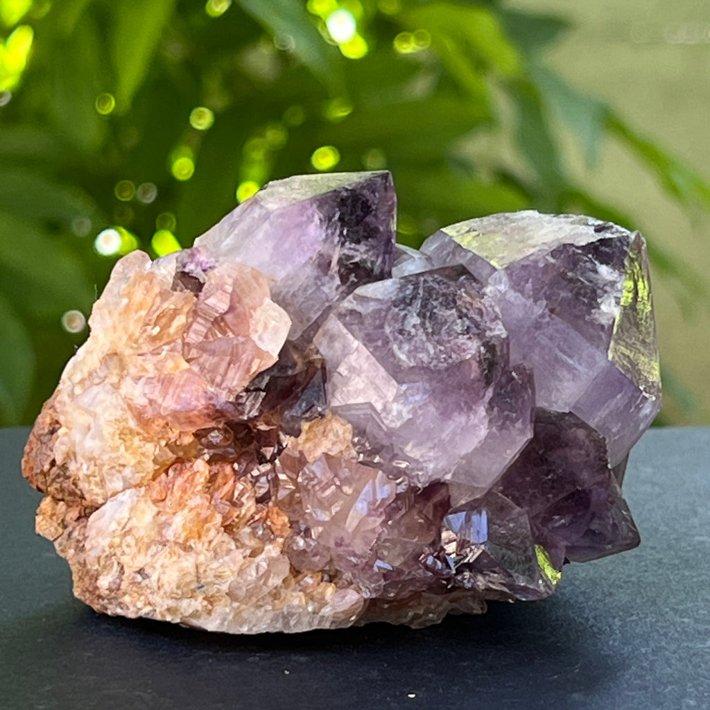 Specimen ametist cuart spirit din Africa de Sud | Model 26, pietre semipretioase - druzy.ro 2 