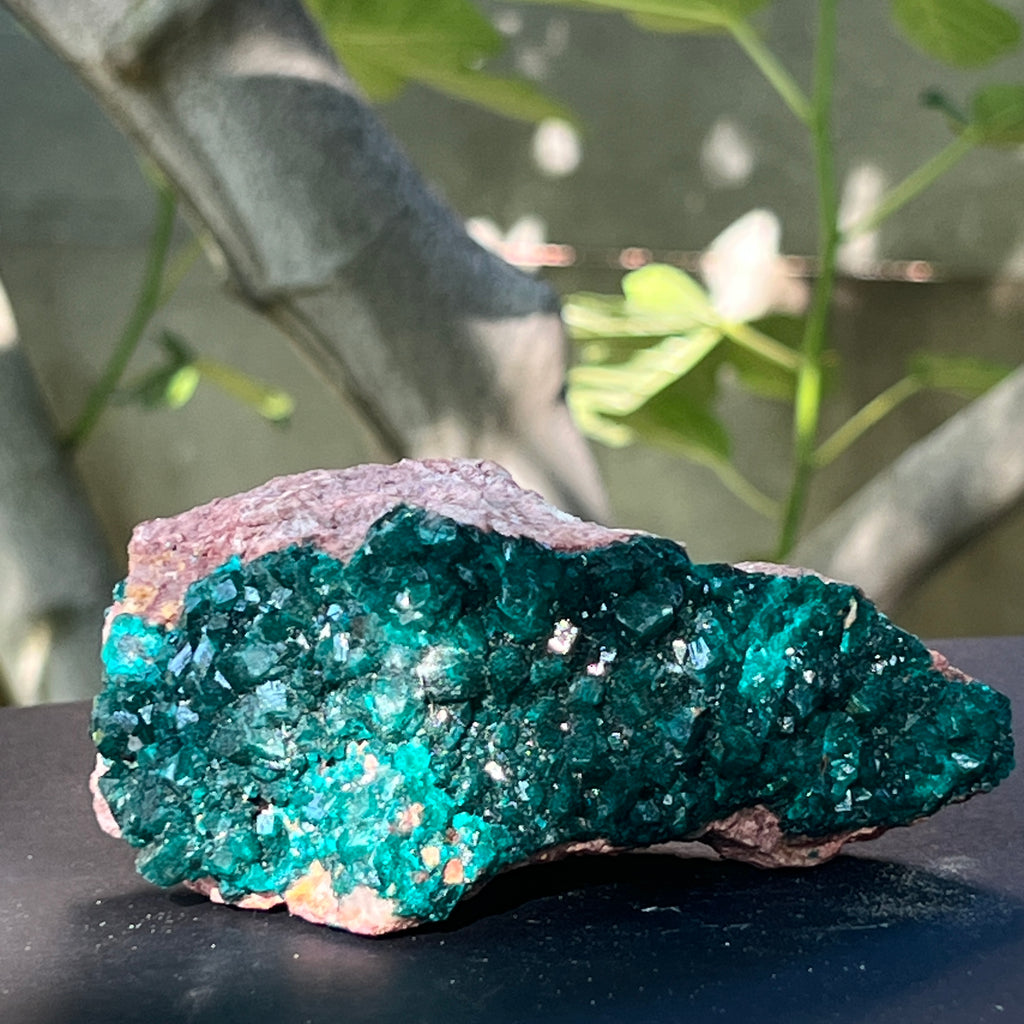 Dioptaz cluster din Congo model 41, pietre semipretioase - druzy.ro 3 
