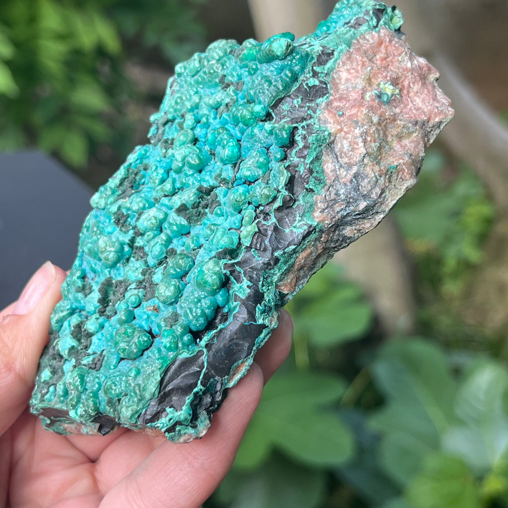 Cluster crisocola botrioidală model 4 din Congo, pietre semipretioase - druzy.ro 4 