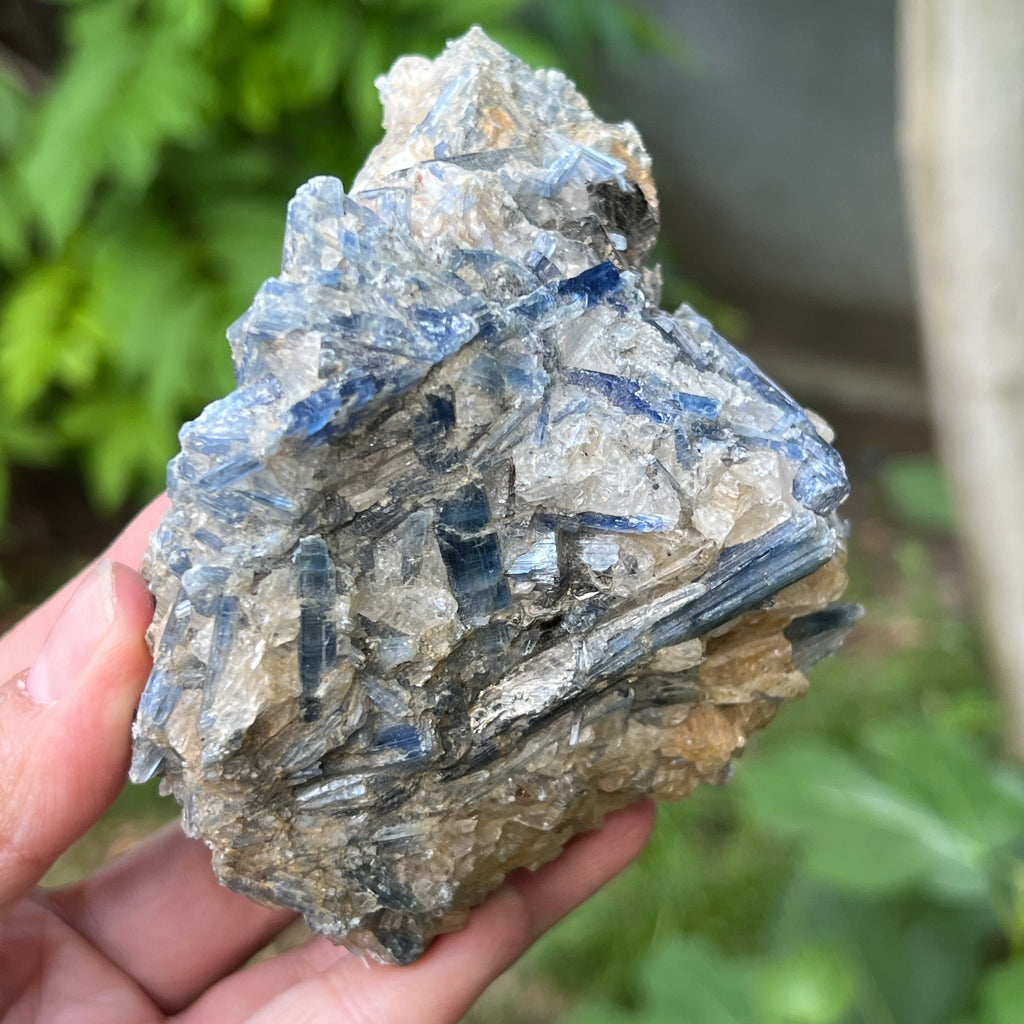 Kianit albastru (Cianit) piatra bruta din Zimbabwe model 15, pietre semipretioase - druzy.ro 3 