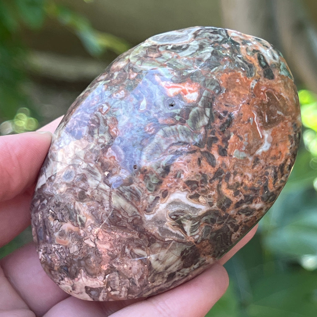 Palmstone riolit de munte | Model 6, pietre semipretioase - druzy.ro 1 