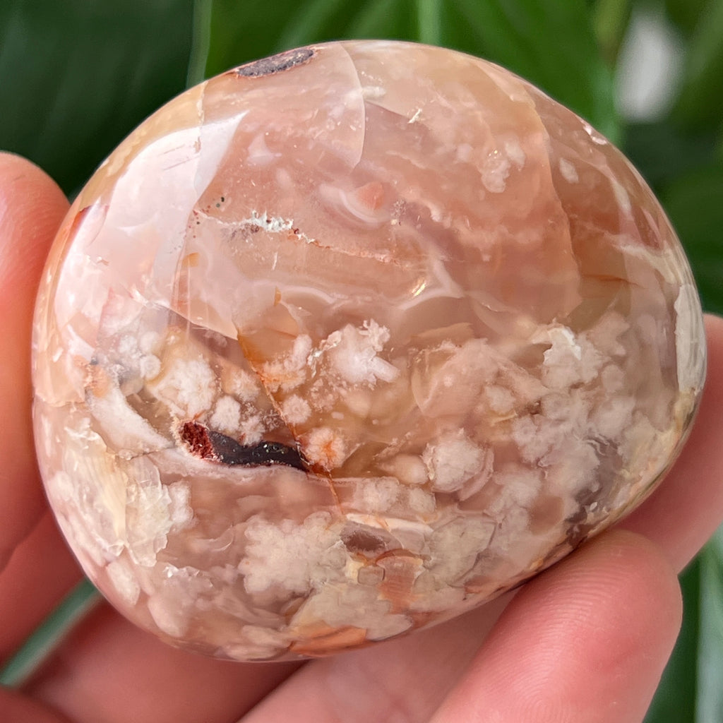 Palmstone agat coral floare rosu m26, pietre semipretioase - druzy.ro 2 
