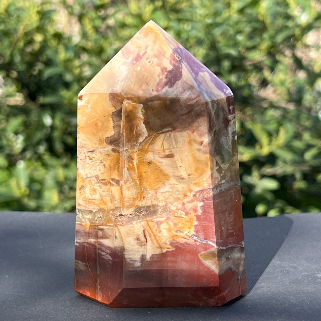 Obelisc lemn pietrificat m1, pietre semipretioase - druzy.ro 7 