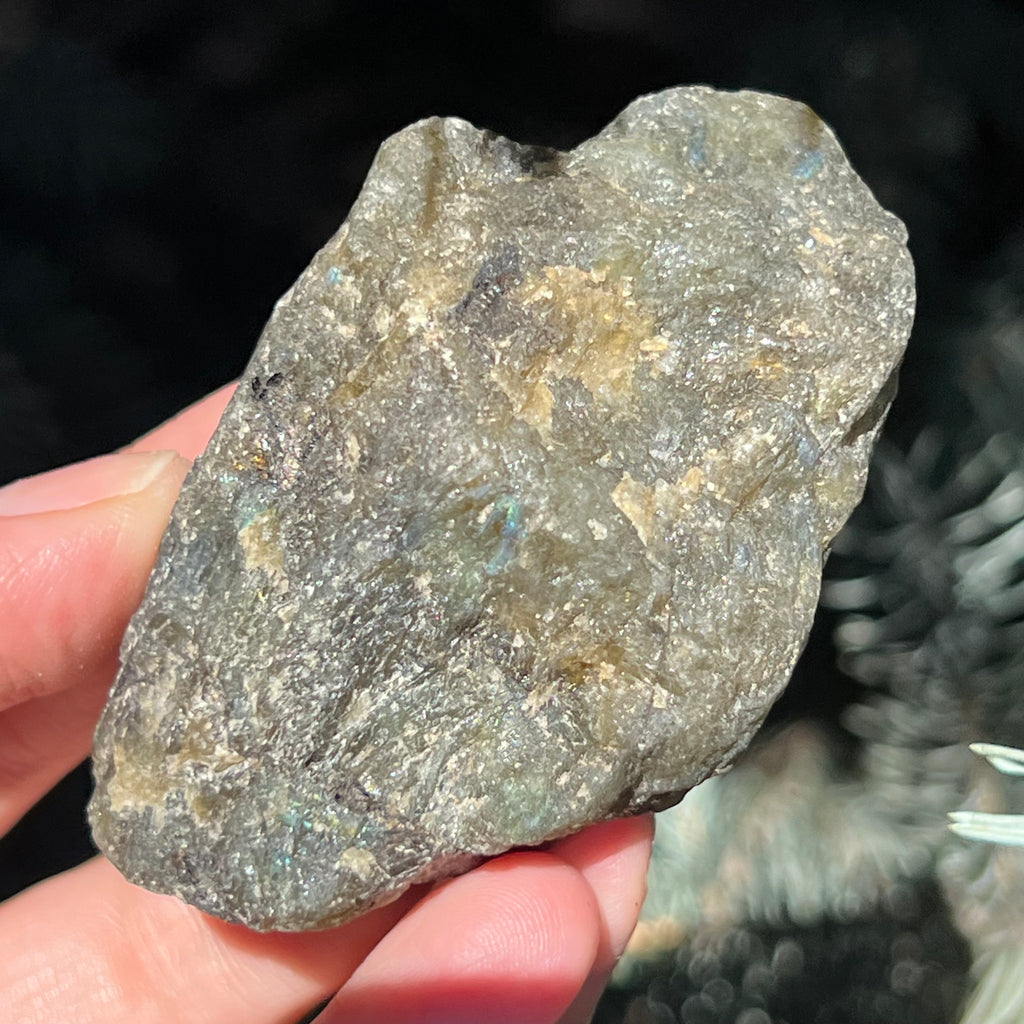 Labradorit piatra bruta polisata pe o fata m10, druzy.ro, cristale 3