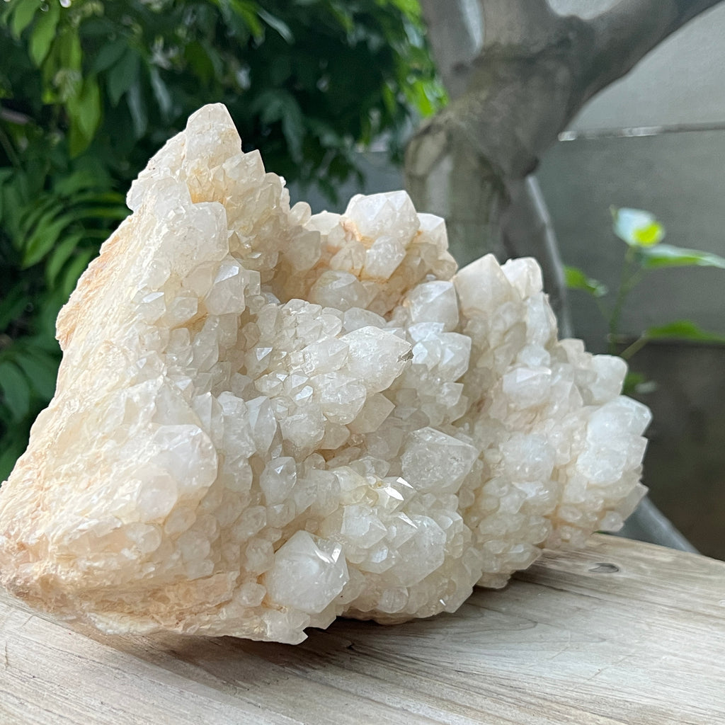 Specimen cuart fantoma, cuart ananas din Madagascar model XL2, pietre semipretioase - druzy.ro 3 