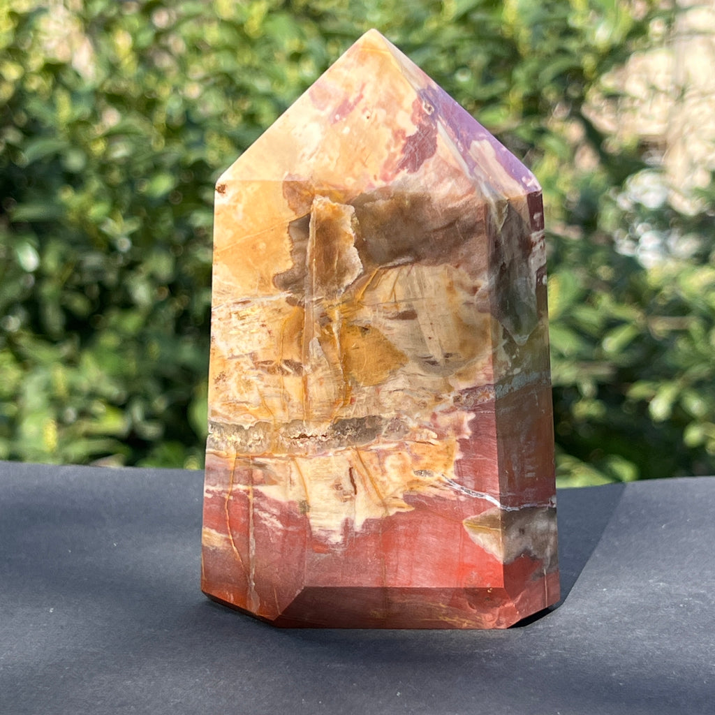 Obelisc lemn pietrificat m1, pietre semipretioase - druzy.ro 3 