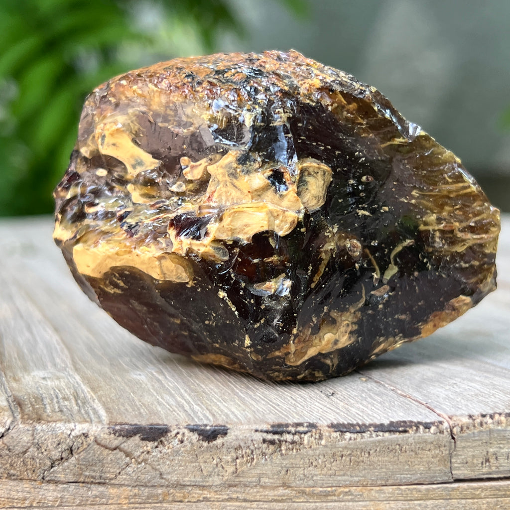 Chihlimbar fosil din Indonezia – Rășină naturală | Model 4, pietre semipretioase - druzy.ro 4 