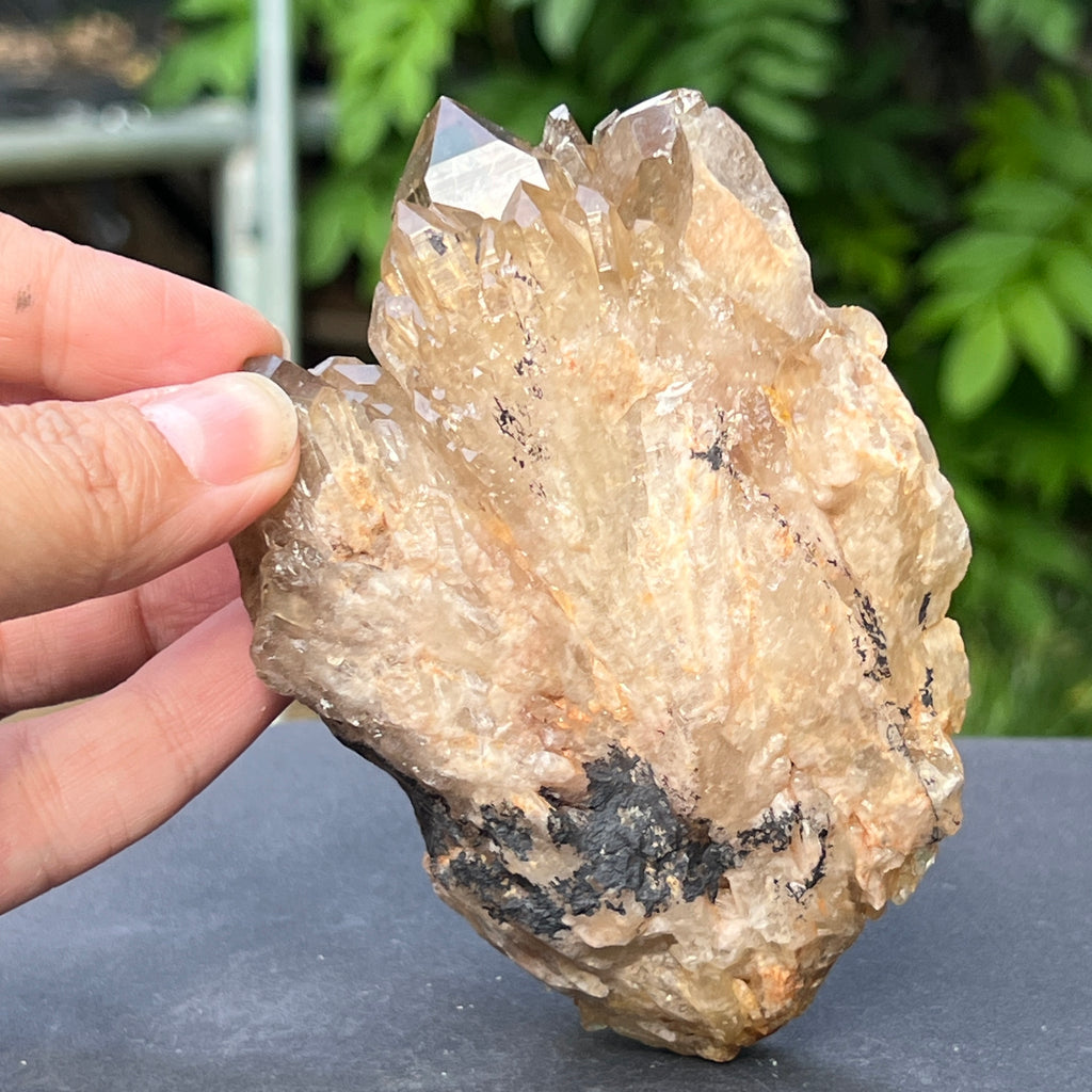 Citrin fumuriu din Congo – specimen natural, netratat | Model 6, pietre semipretioase - druzy.ro 7 