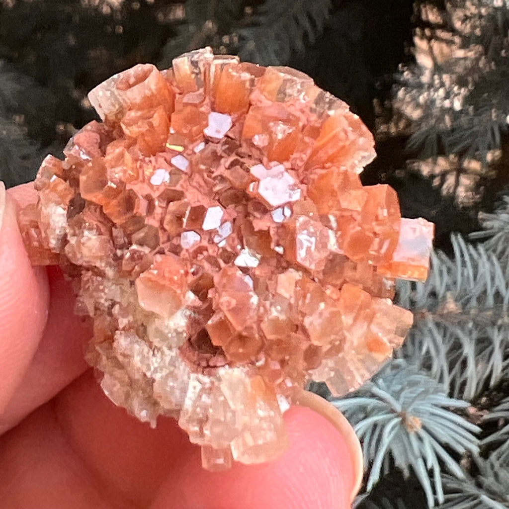 Cluster cristal aragonit din Maroc model 12, druzy.ro, pietre semipretioase 2