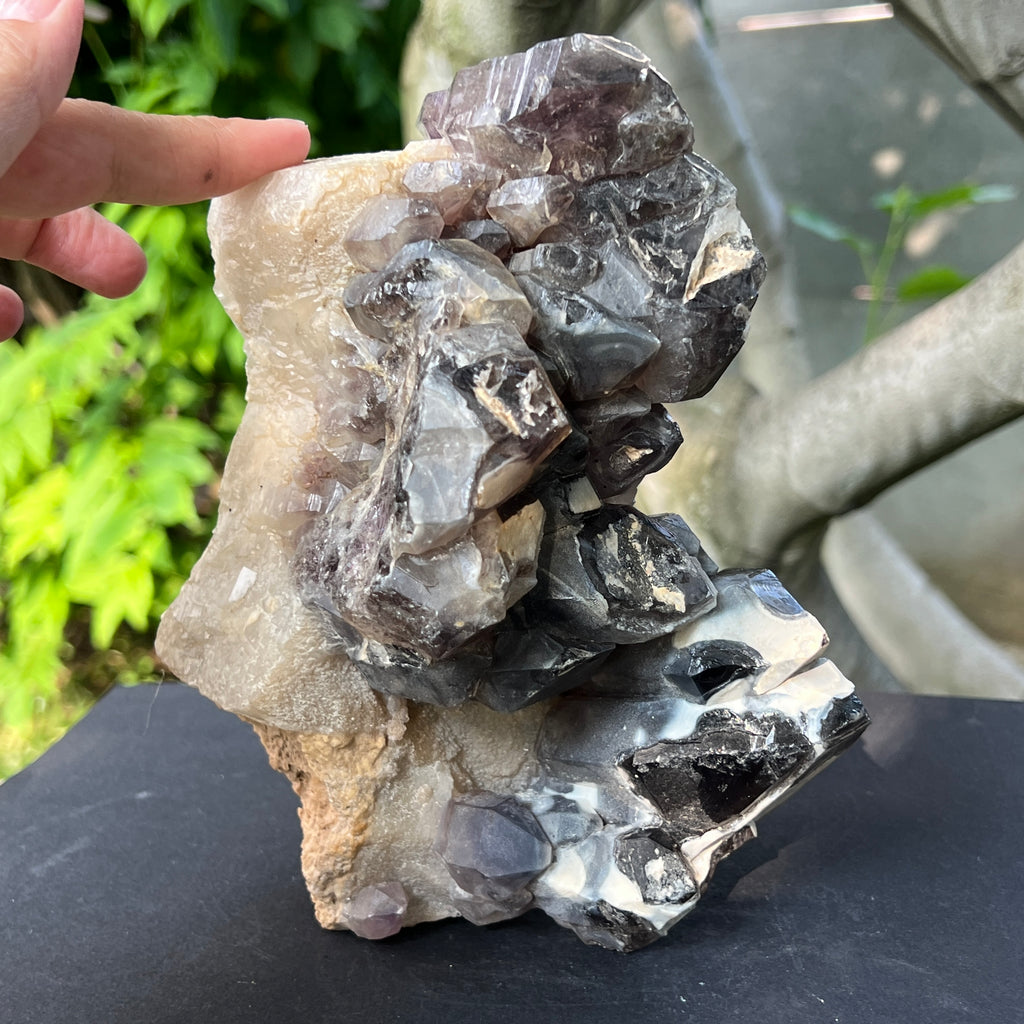 Specimen cluster cuart fumuriu m2, pietre semipretioase - druzy.ro 4 