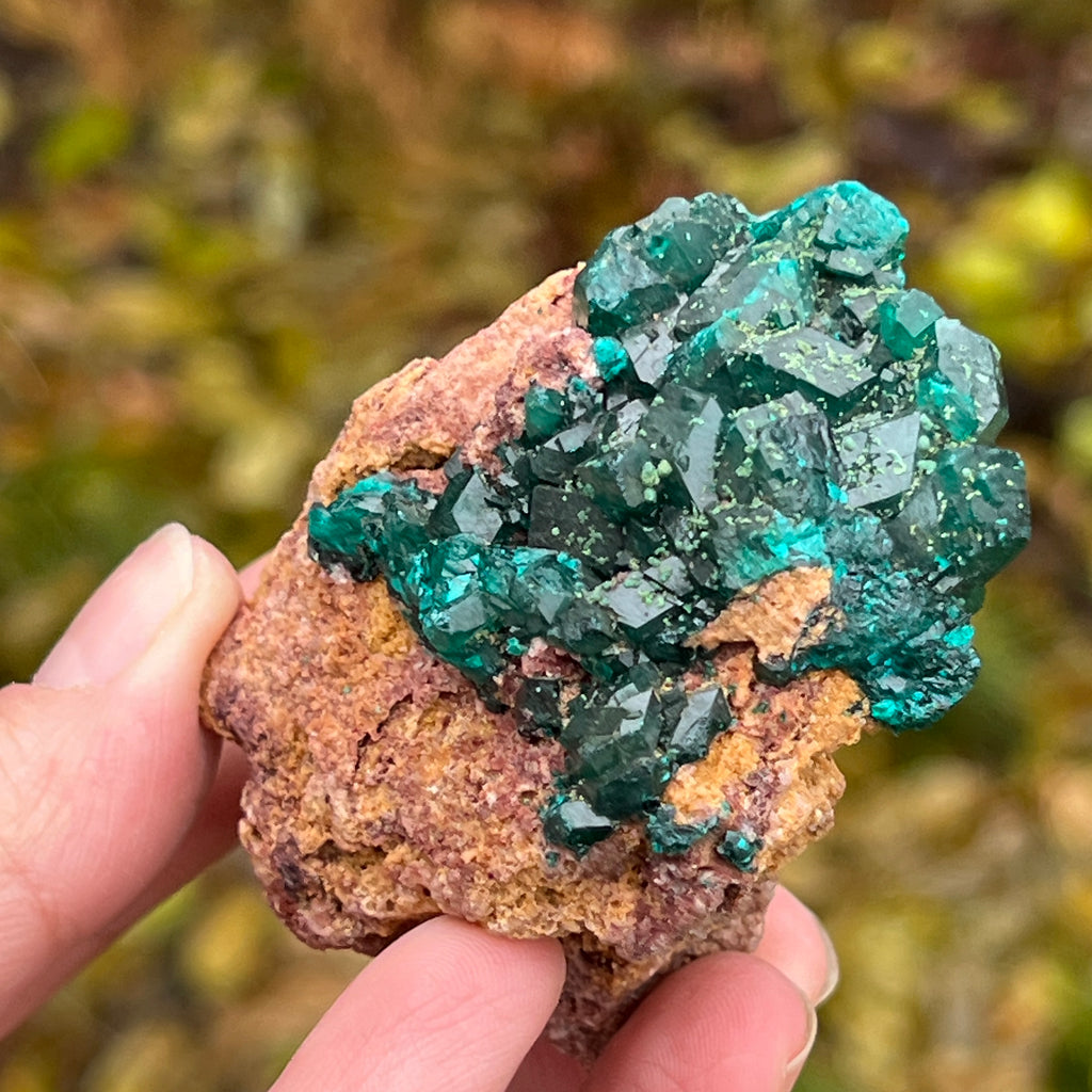 Dioptaz cluster din Congo model 11, pietre semipretioase - druzy.ro 3 