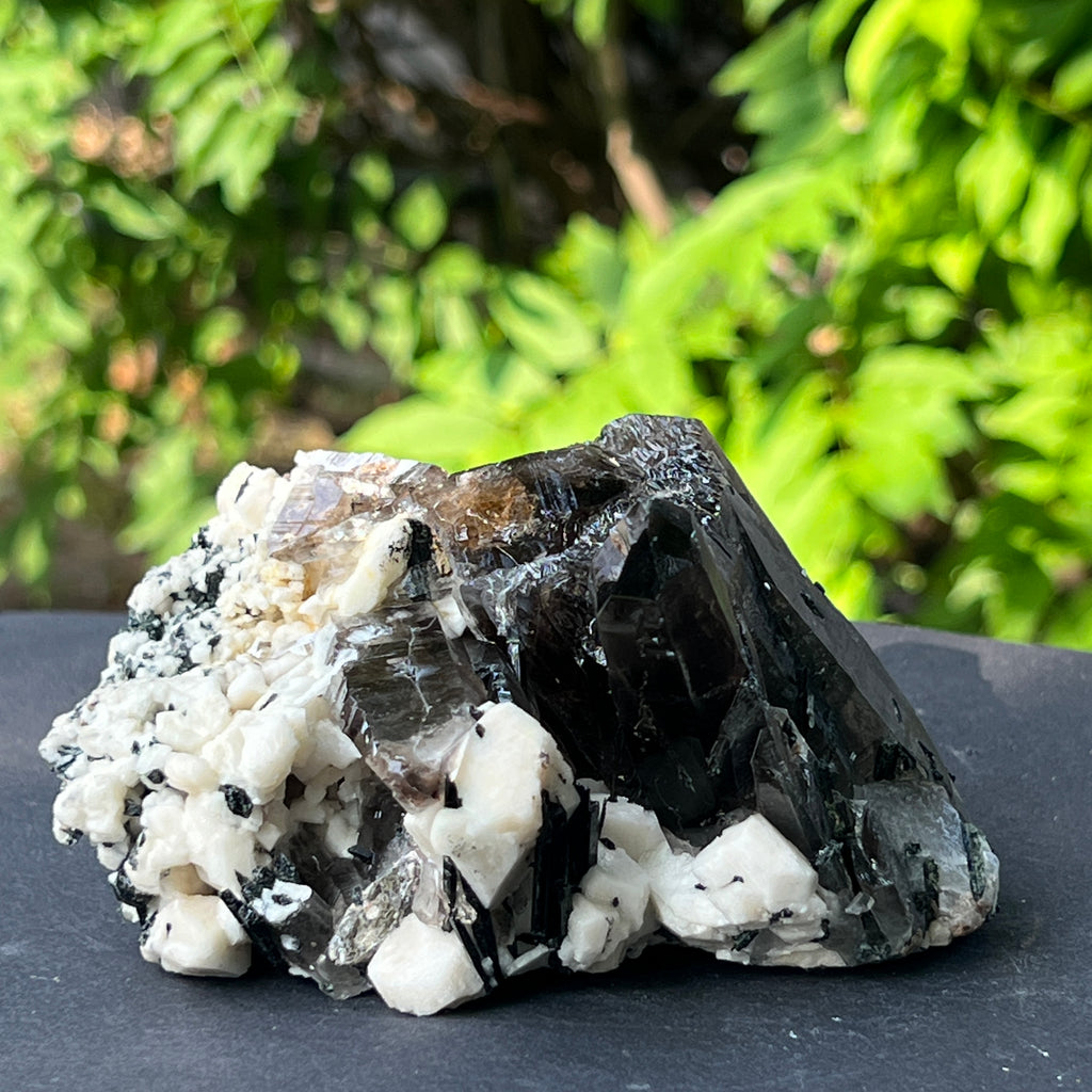 Specimen cluster cuart fumuriu m4, pietre semipretioase - druzy.ro 12 