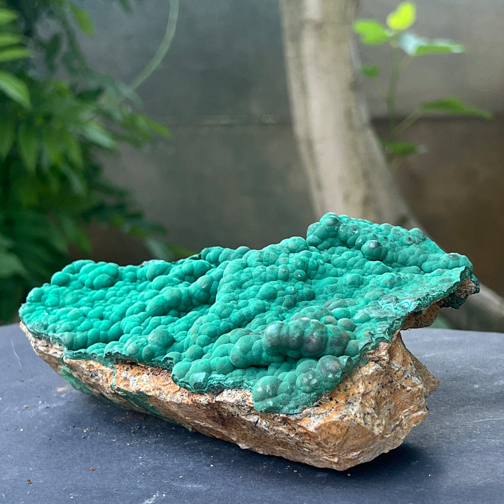 Cluster malachit botrioidală | Model 4, pietre semipretioase - druzy.ro 6 