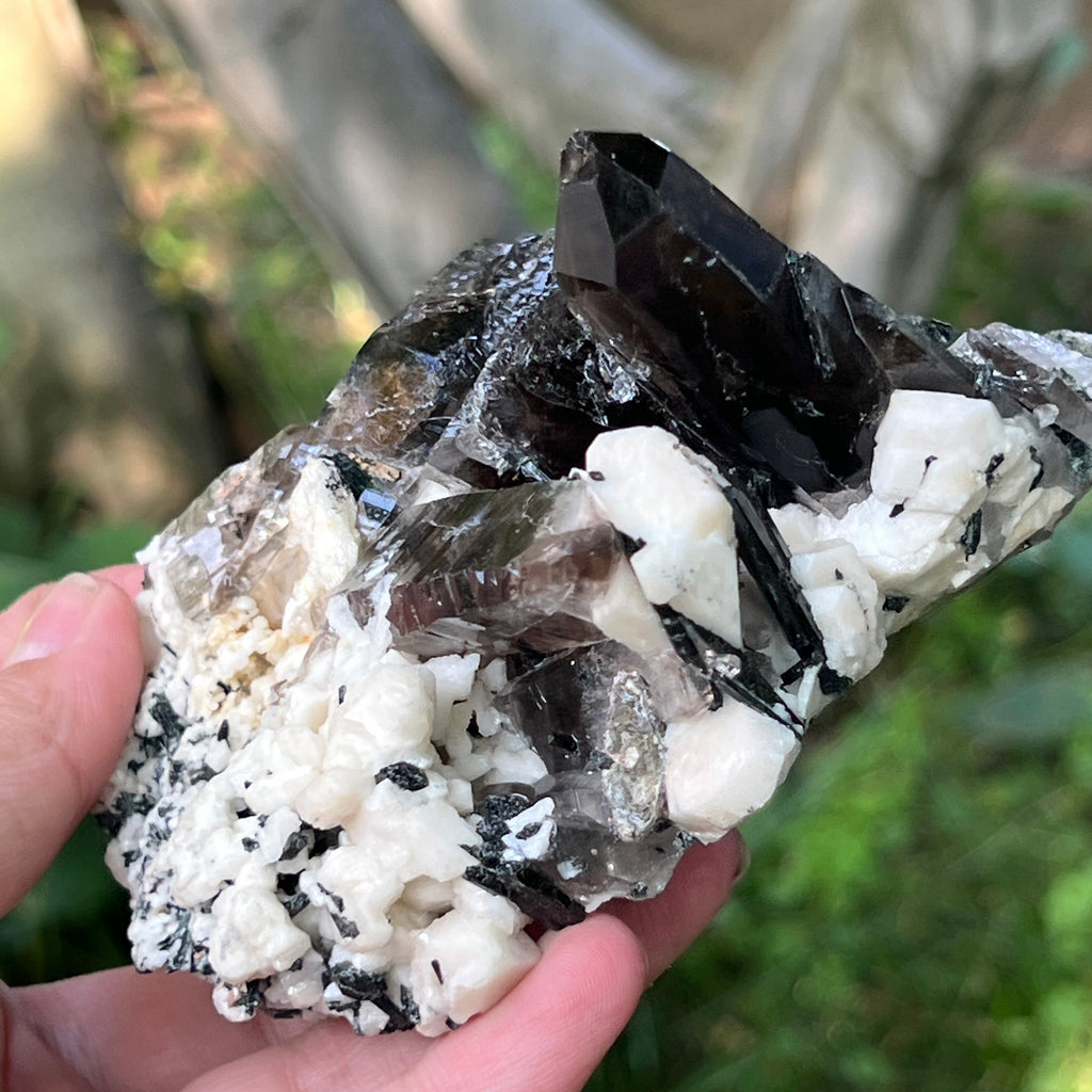 Specimen cluster cuart fumuriu m4, pietre semipretioase - druzy.ro 5 