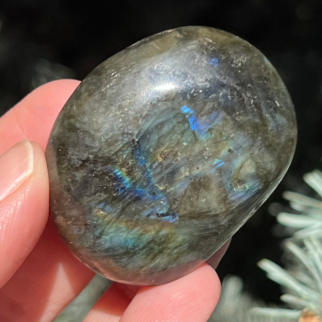 Labradorit palm stone m1, druzy.ro, cristale 4
