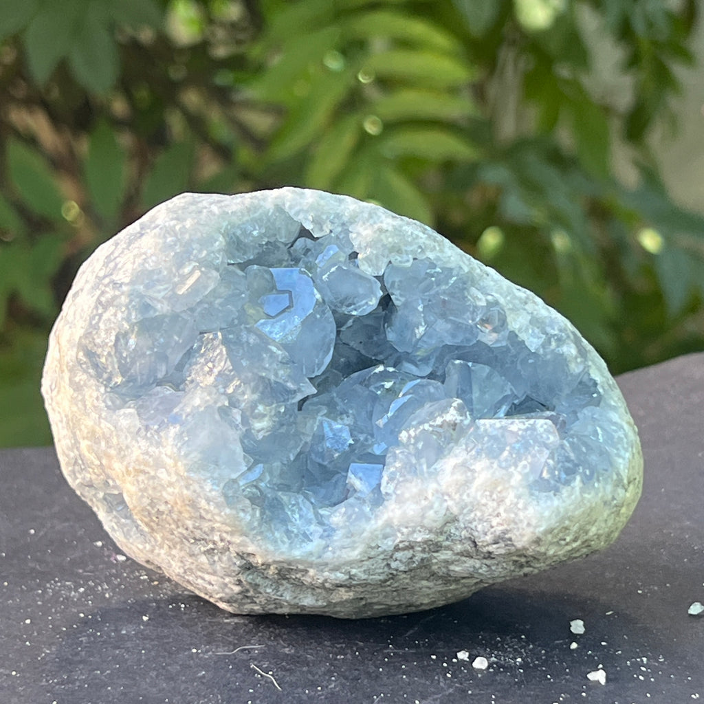 Celestit / celestina cluster m4, pietre semipretioase - druzy.ro 6 