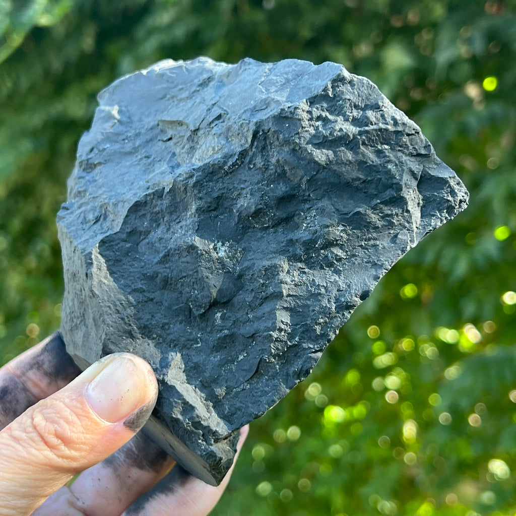 Shungit piatra bruta XXL model 2, pietre semipretioase - druzy.ro 1 
