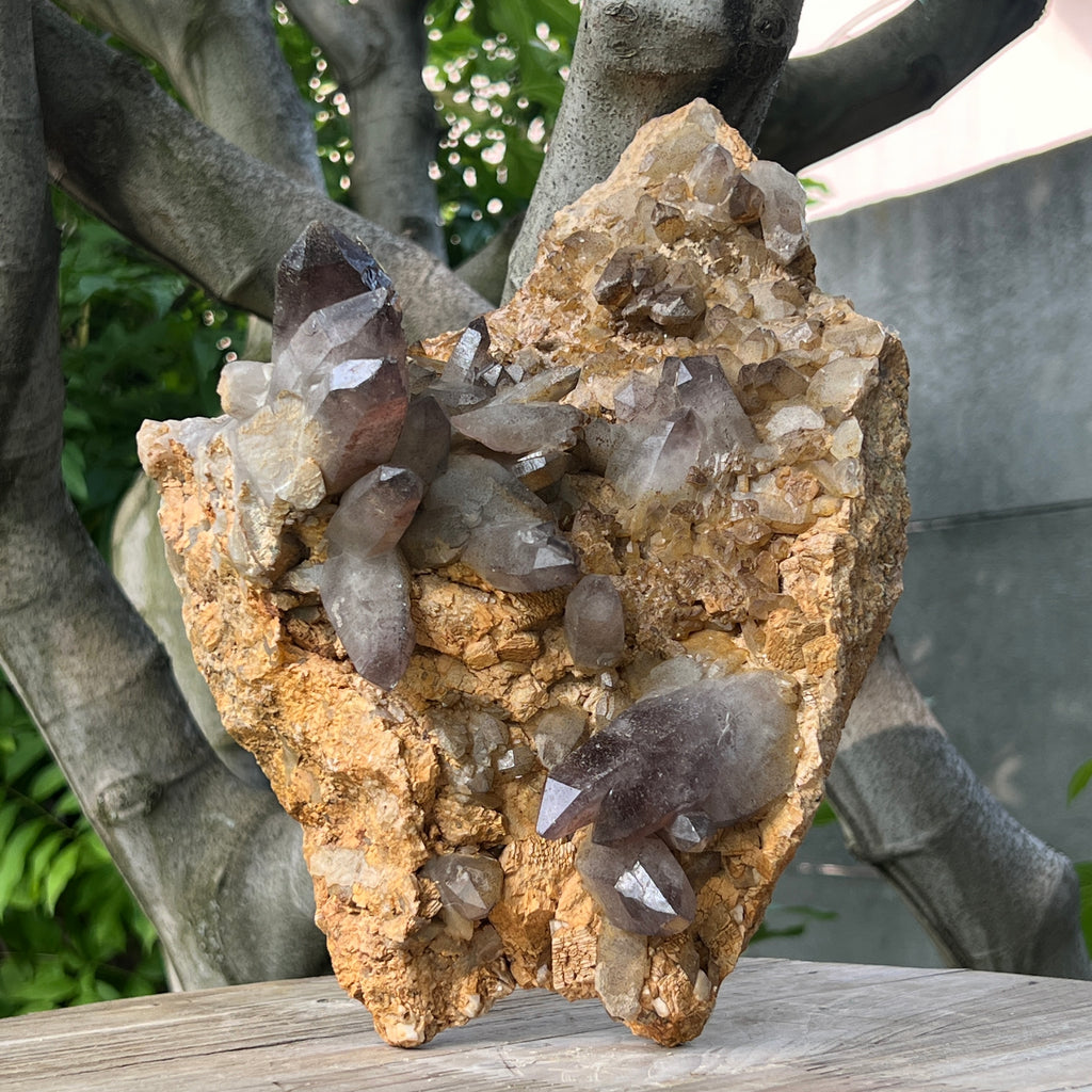 Specimen cluster cuart fumuriu m1, pietre semipretioase - druzy.ro 1 