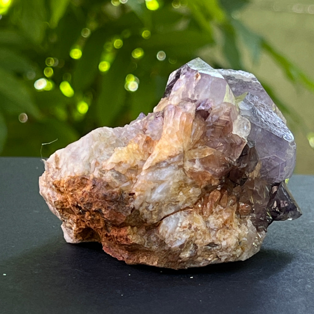 Specimen ametist cuart spirit din Africa de Sud | Model 26, pietre semipretioase - druzy.ro 4 