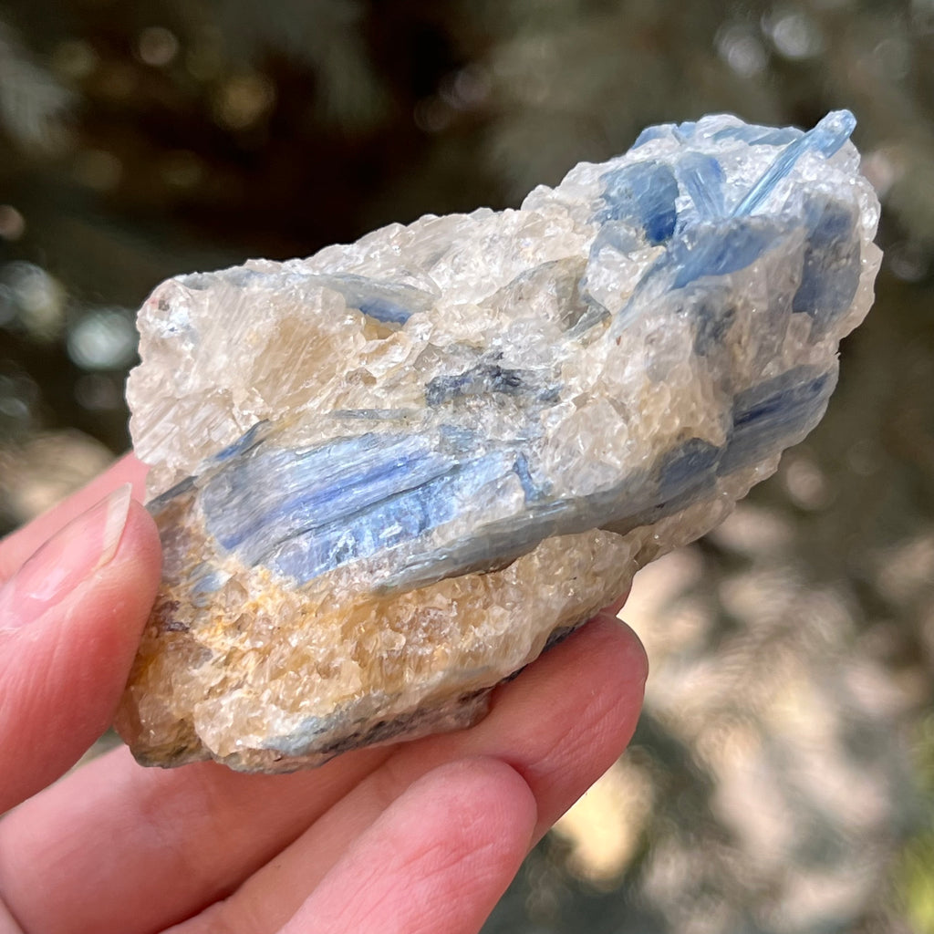 Kianit albastru (Cianit) piatra bruta din Zimbabwe model 12, druzy.ro, cristale 4