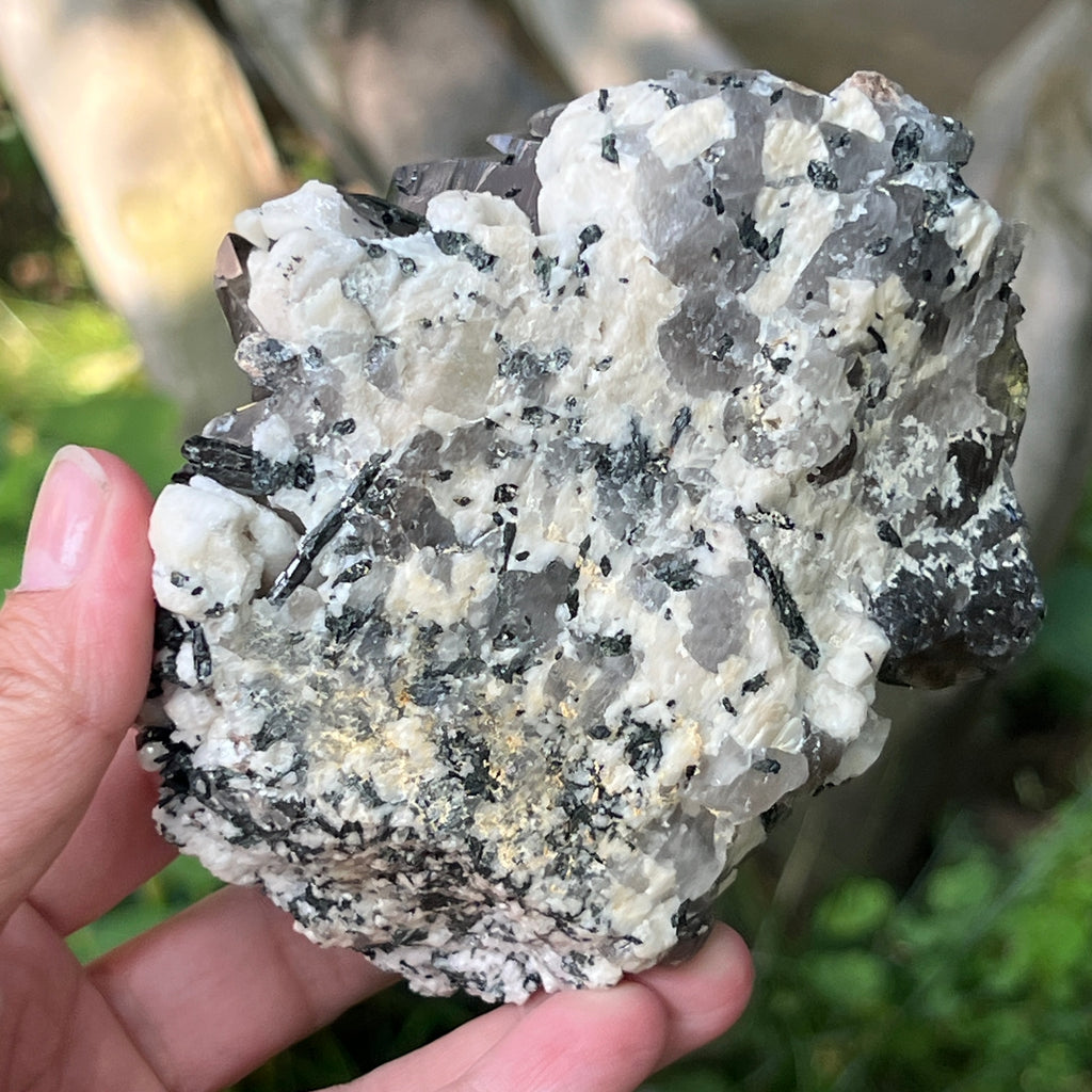 Specimen cluster cuart fumuriu m4, pietre semipretioase - druzy.ro 6 