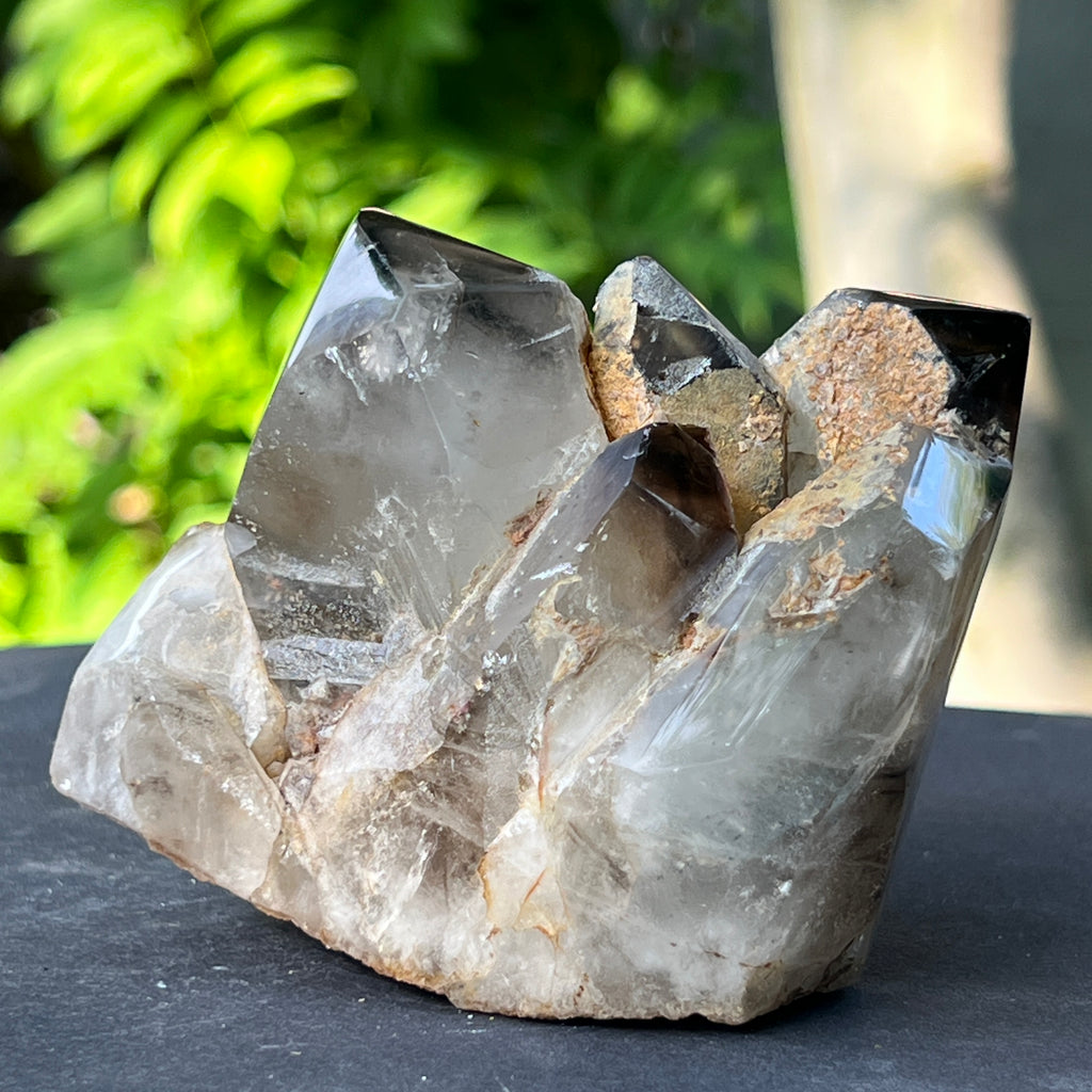 Specimen cluster cuart fumuriu m7, pietre semipretioase - druzy.ro 4 