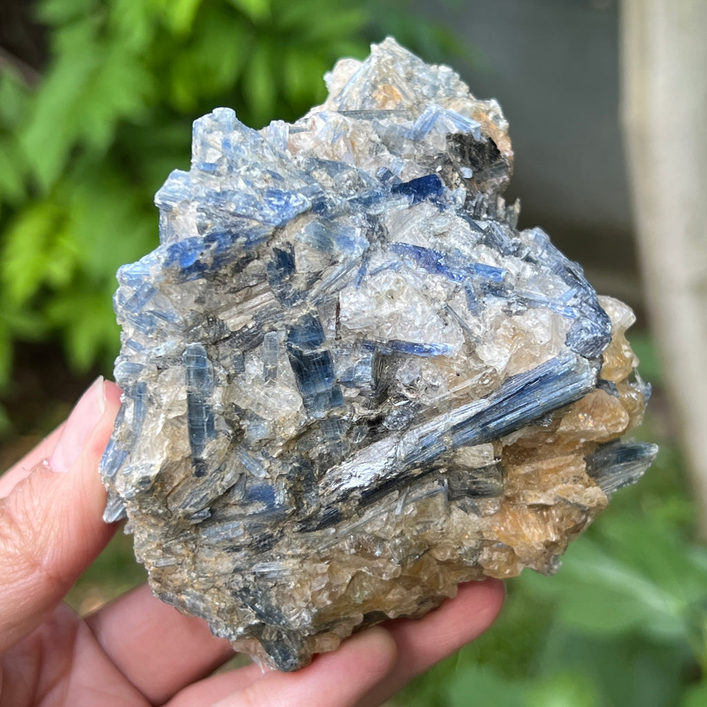 Kianit albastru (Cianit) piatra bruta din Zimbabwe model 15, pietre semipretioase - druzy.ro 6 