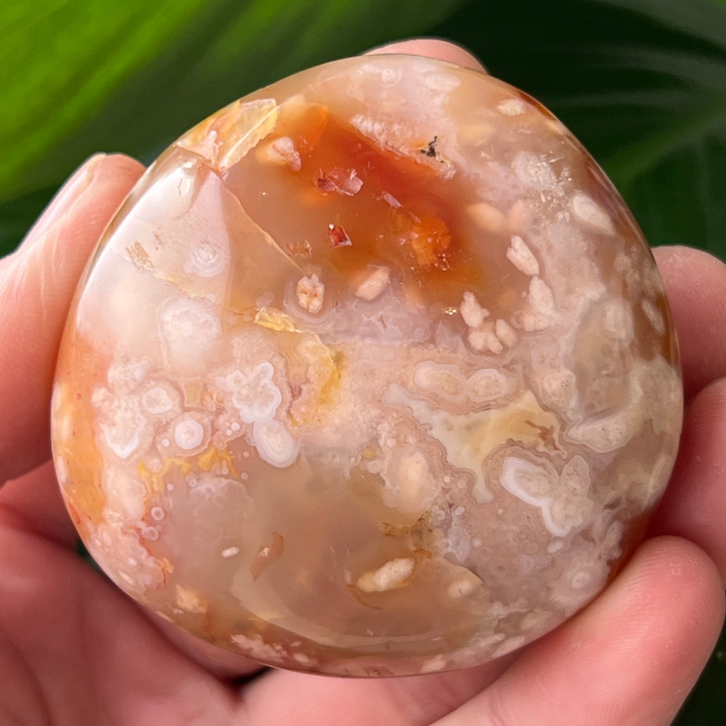 Palmstone agat coral floare rosu m24, pietre semipretioase - druzy.ro 1 