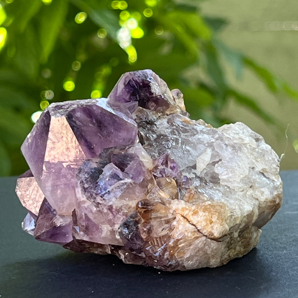 Specimen ametist cuart spirit din Africa de Sud | Model 26, pietre semipretioase - druzy.ro 3 