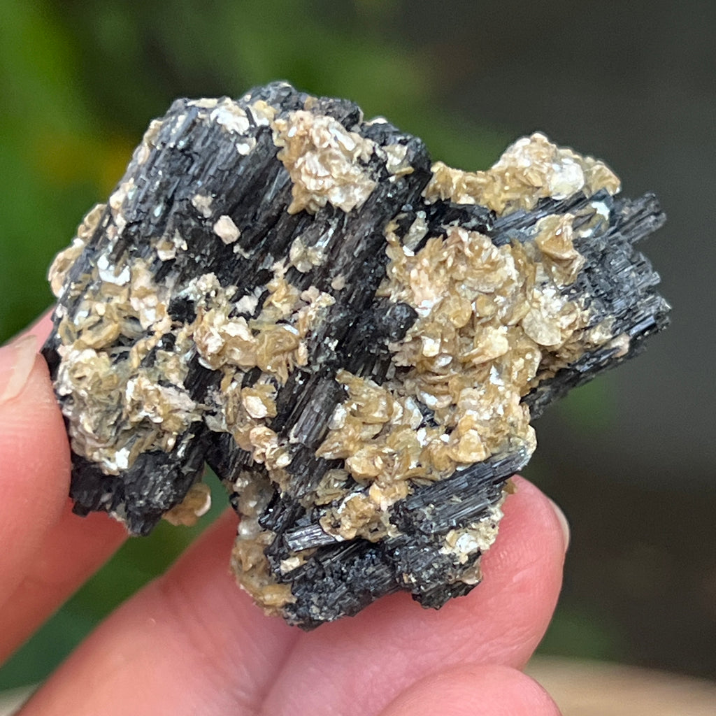 Cluster turmalina neagra cu vermiculita din Erongo m17, pietre semipretioase - druzy.ro 6 