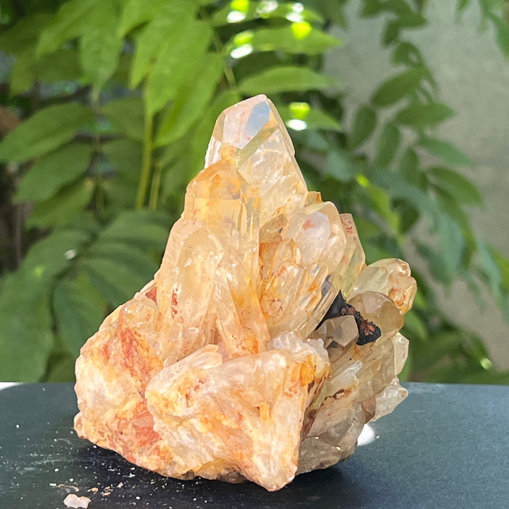 Citrin fumuriu din Congo – specimen natural, netratat | Model 8, pietre semipretioase - druzy.ro 6 