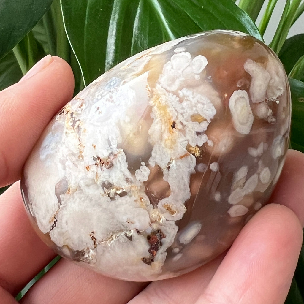 Palmstone agat coral floare rosu m7, pietre semipretioase - druzy.ro 2 