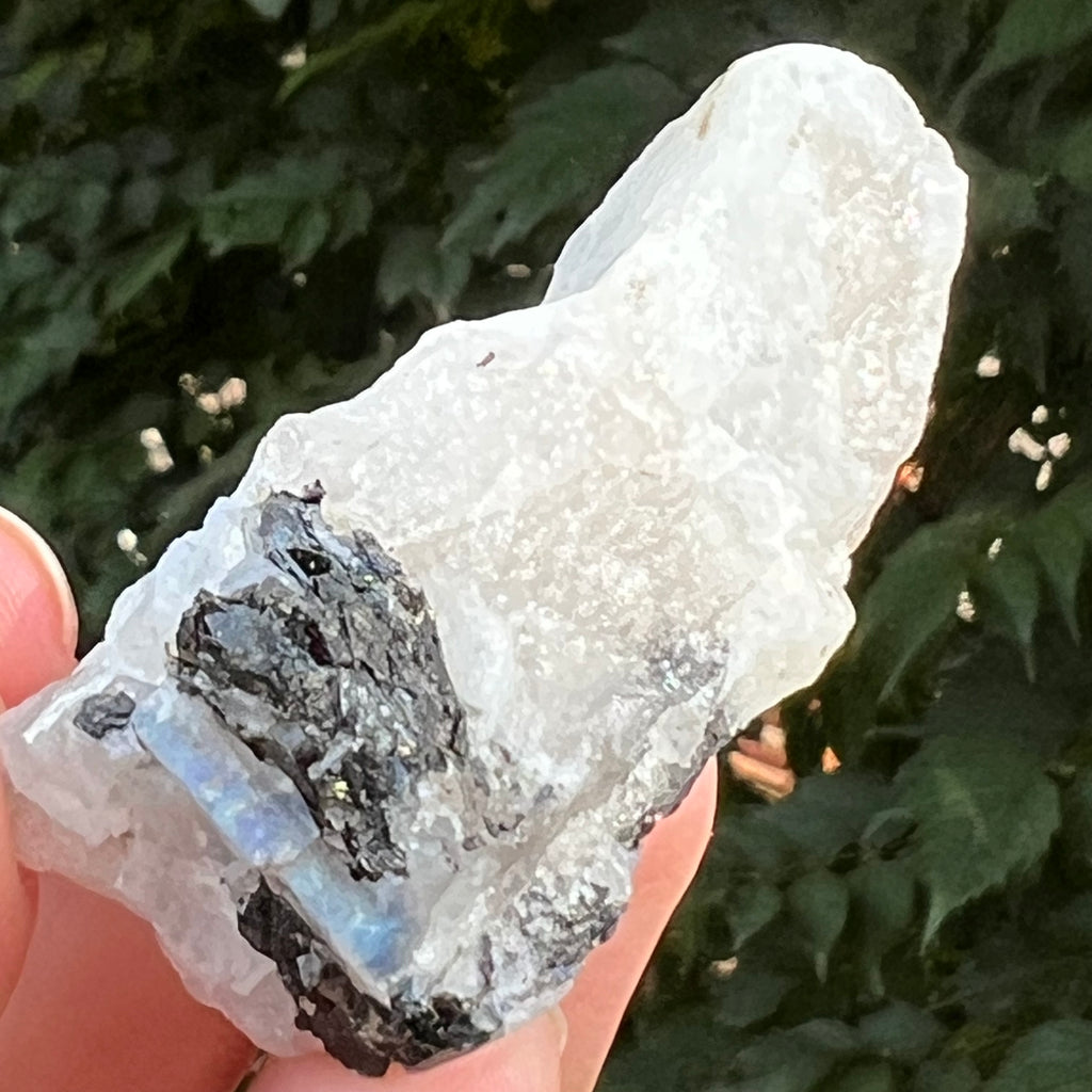 Piatra lunii cu insertii turmalina -piatra bruta m7, druzy.ro, cristale 1