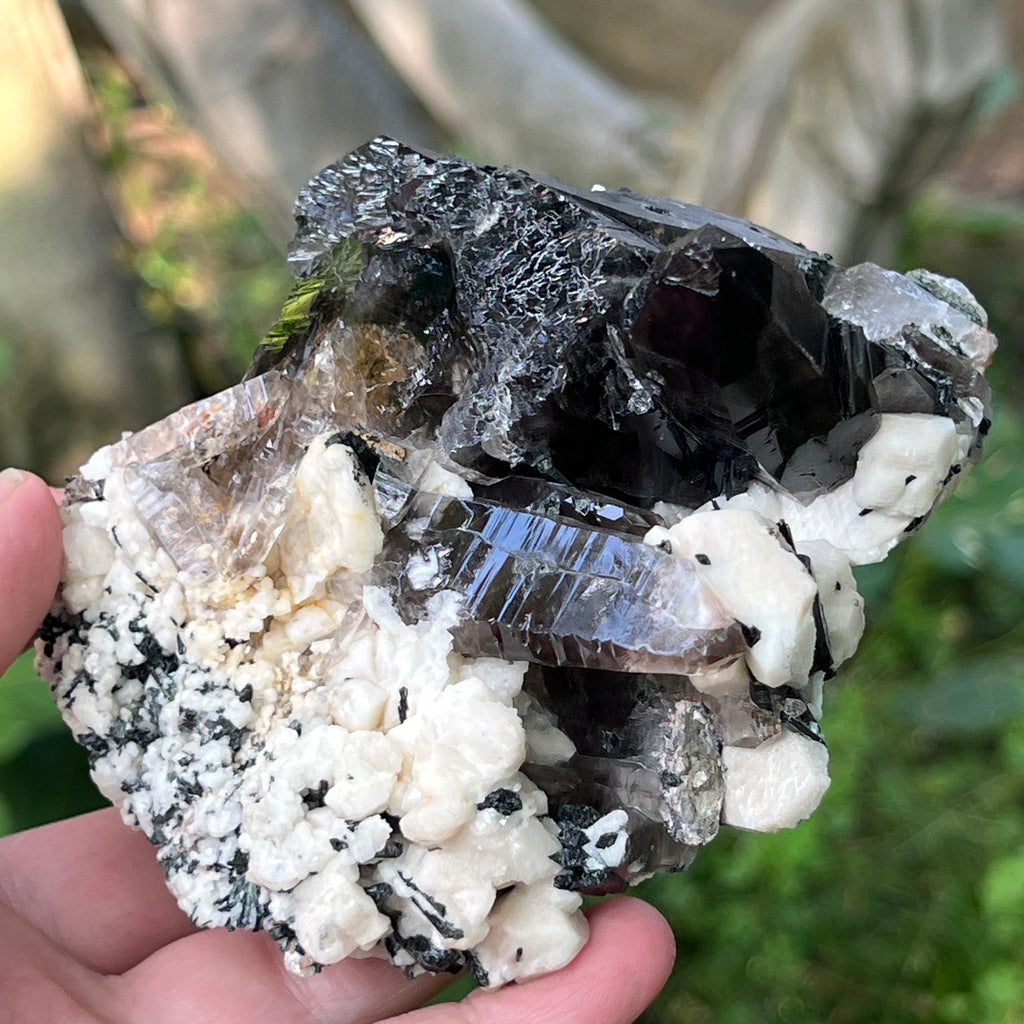 Specimen cluster cuart fumuriu m4, pietre semipretioase - druzy.ro 8 