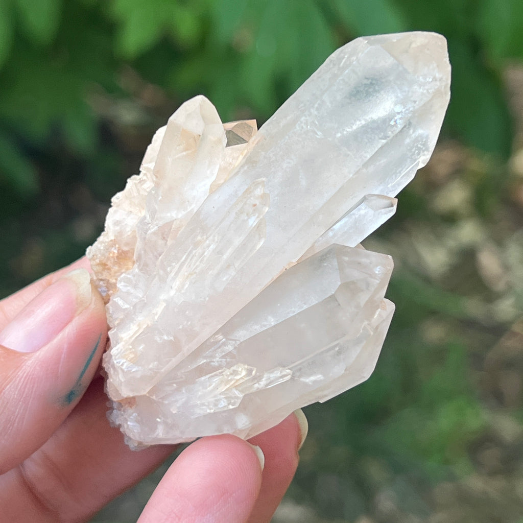 Cluster cuart incolor, floare de mina m19, pietre semipretioase - druzy.ro 1 